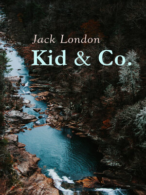 cover image of Kid & Co.